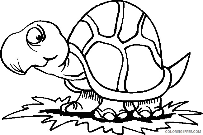 Animal Coloring Pages Printable Coloring4free - Coloring4Free.com