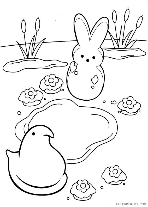 Marshmallow Peeps Coloring Pages Printable Coloring4free