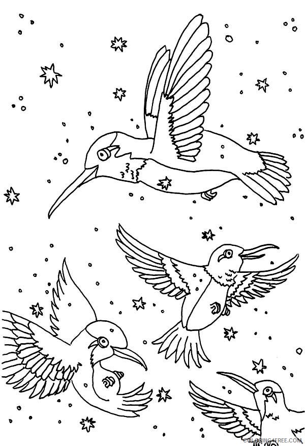 a group of hummingbird coloring pages Coloring4free