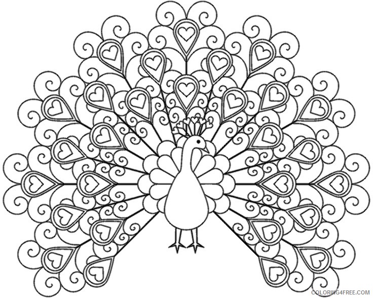 adult coloring pages cute peacock Coloring4free