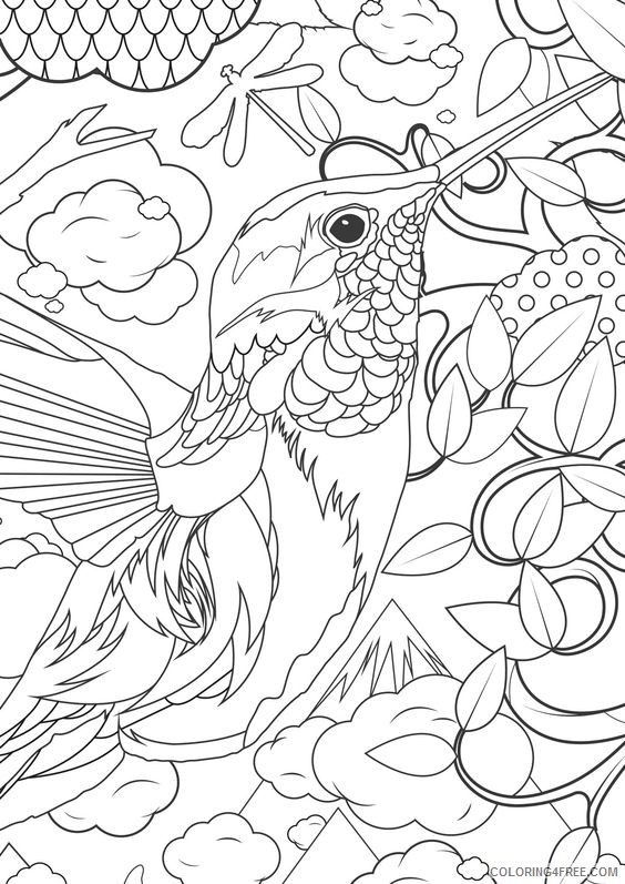 advanced coloring pages hummingbird Coloring4free