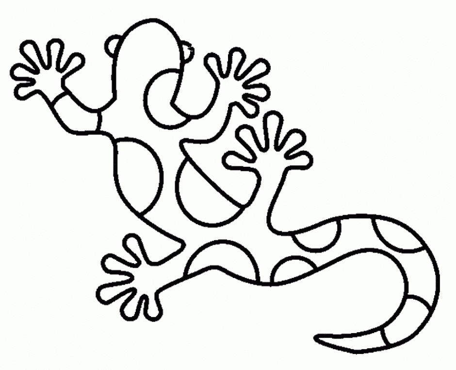 amazon rainforest coloring pages gecko Coloring4free
