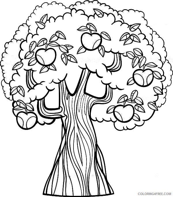 apple tree coloring pages printable Coloring4free