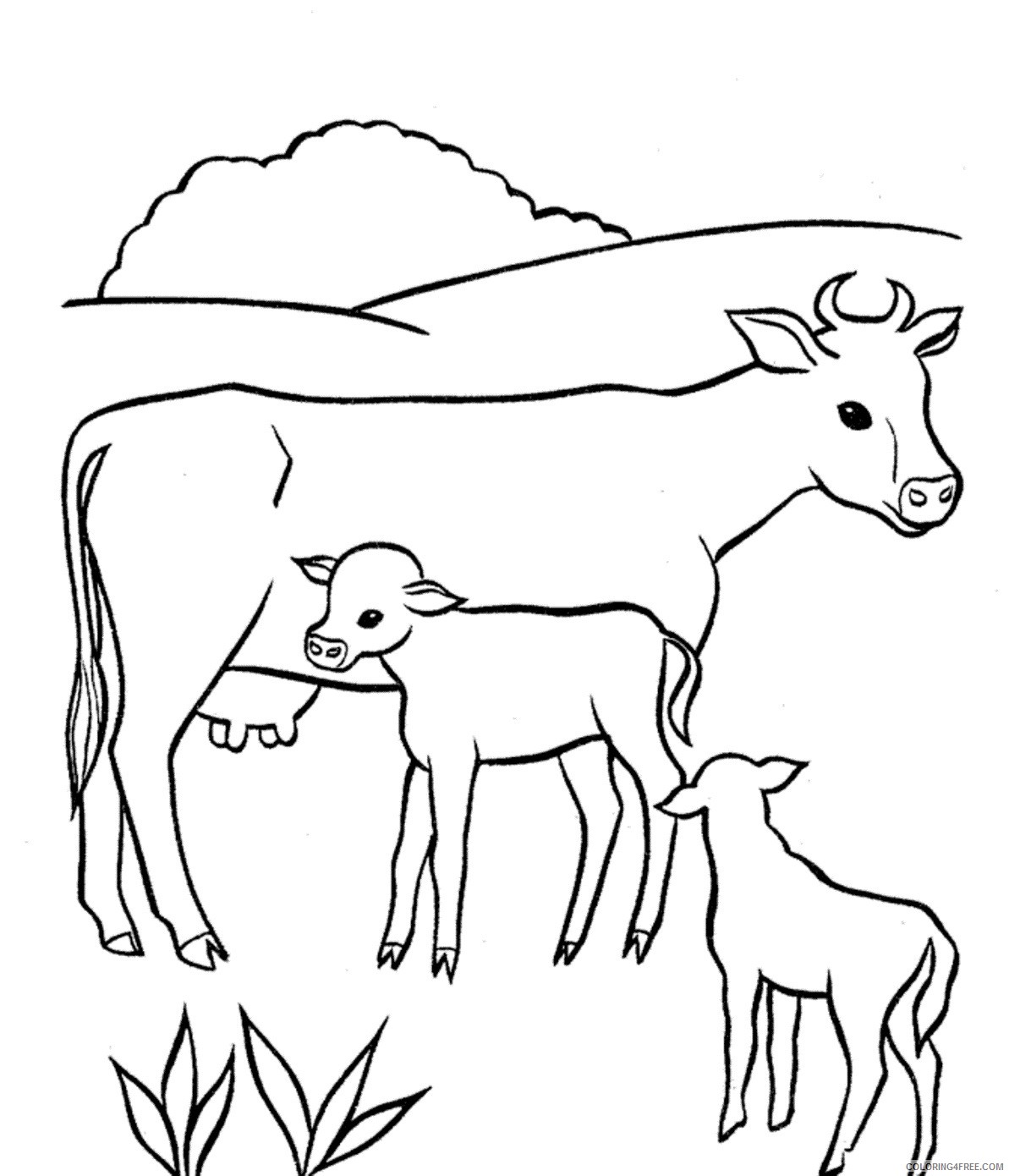 baby cow coloring pages with mom Coloring4free
