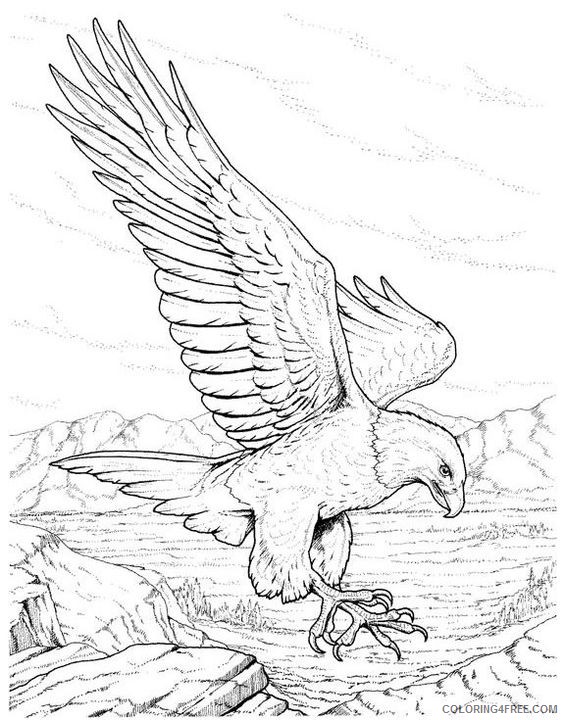 bald eagle coloring pages realistic Coloring4free