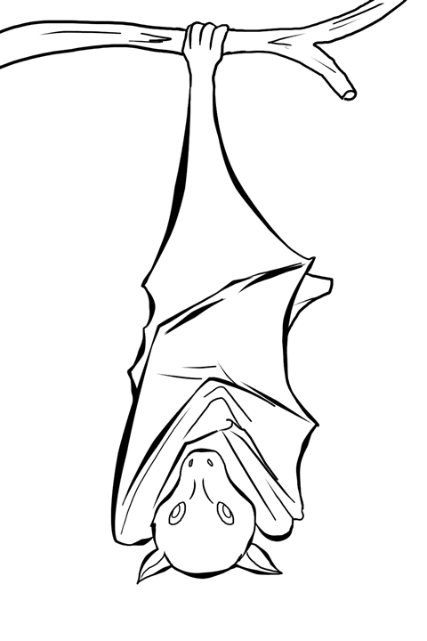 bat coloring pages printable Coloring4free
