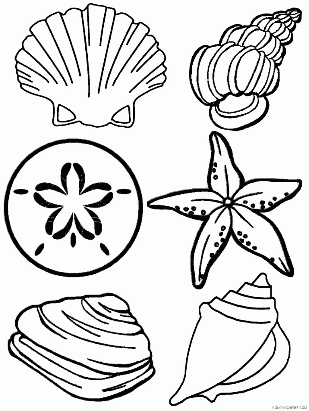 beach coloring pages beach shells Coloring4free