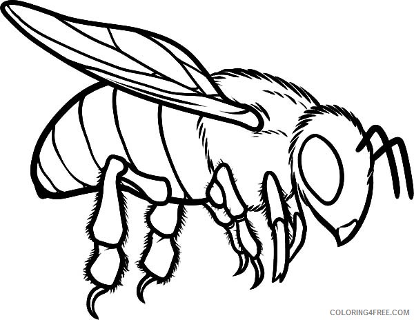 bee coloring pages flying Coloring4free