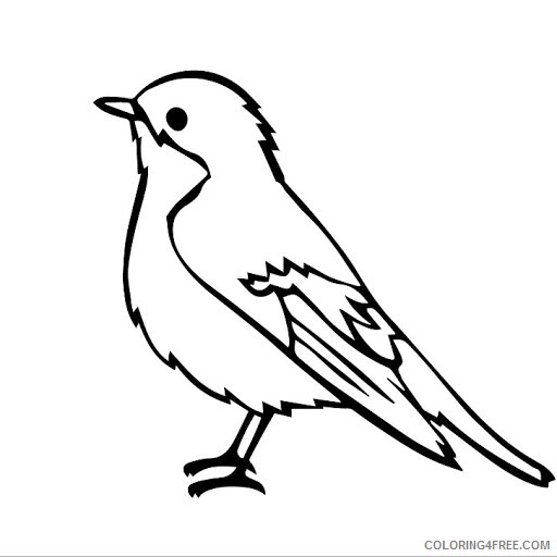 bird coloring pages for kids printable Coloring4free