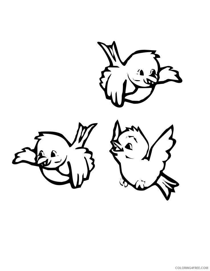 bird coloring pages for preschooler Coloring4free