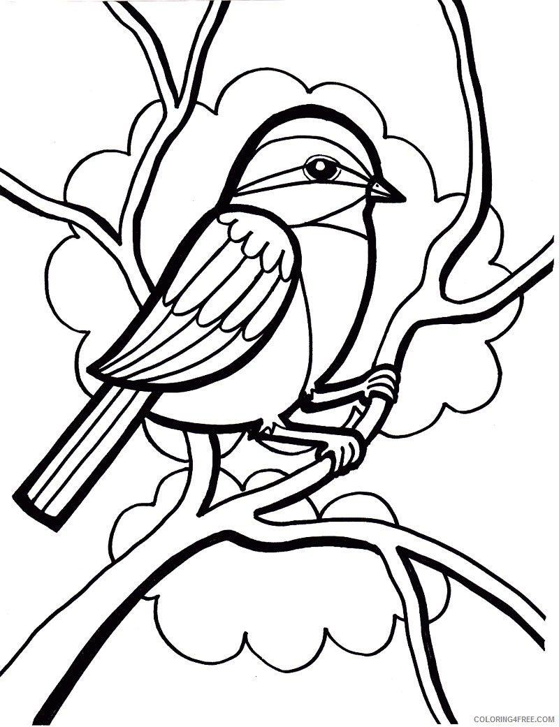 bird coloring pages free to print Coloring4free