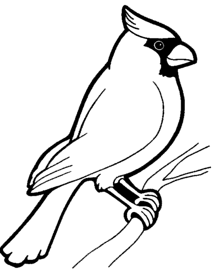 bird coloring pages northern cardinal Coloring4free