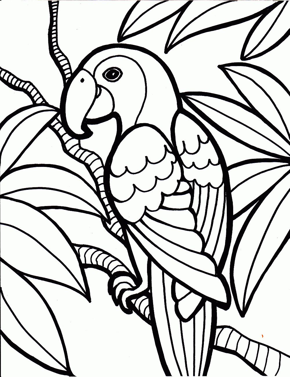 bird coloring pages parrot Coloring4free