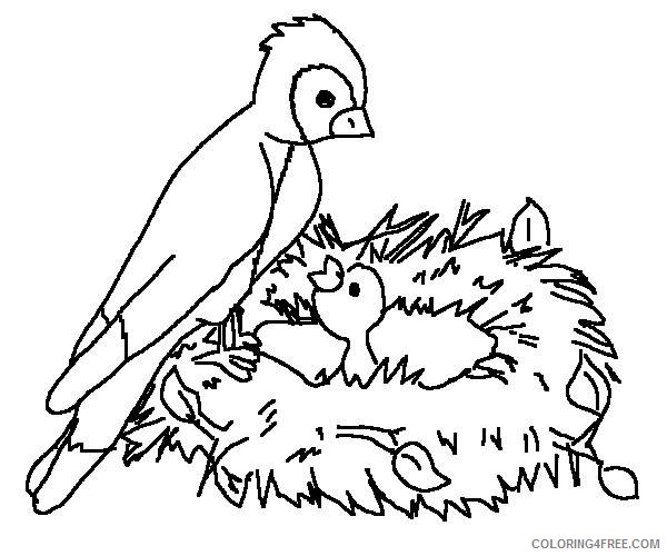 bird nest coloring pages Coloring4free