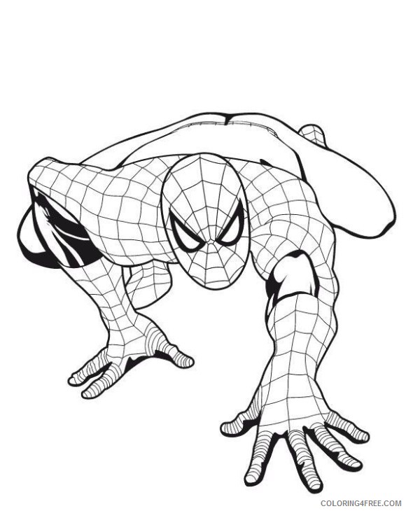 boy coloring pages of spiderman Coloring4free
