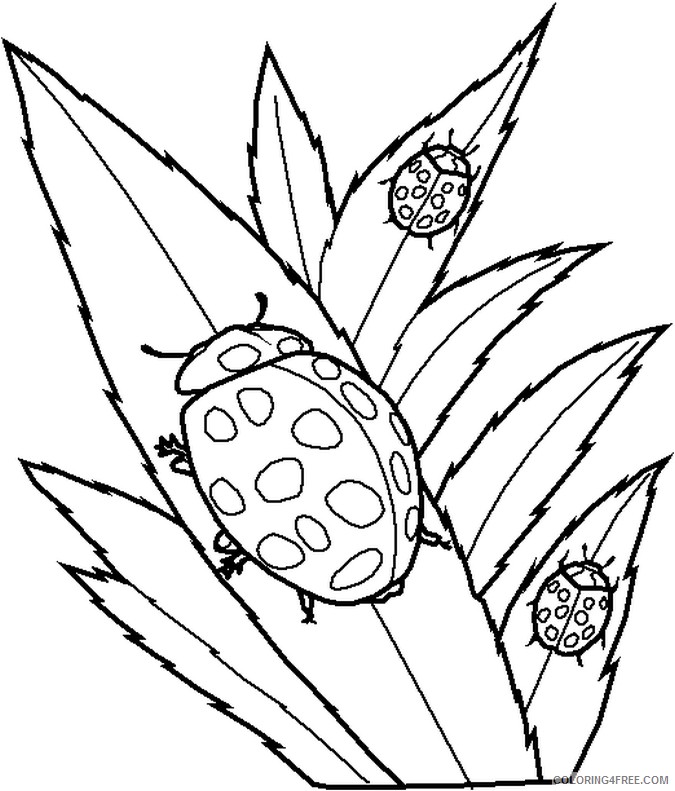 bug coloring pages ladybugs on leaves Coloring4free
