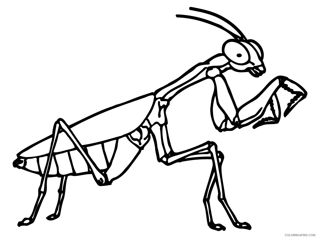 bug coloring pages mantis Coloring4free