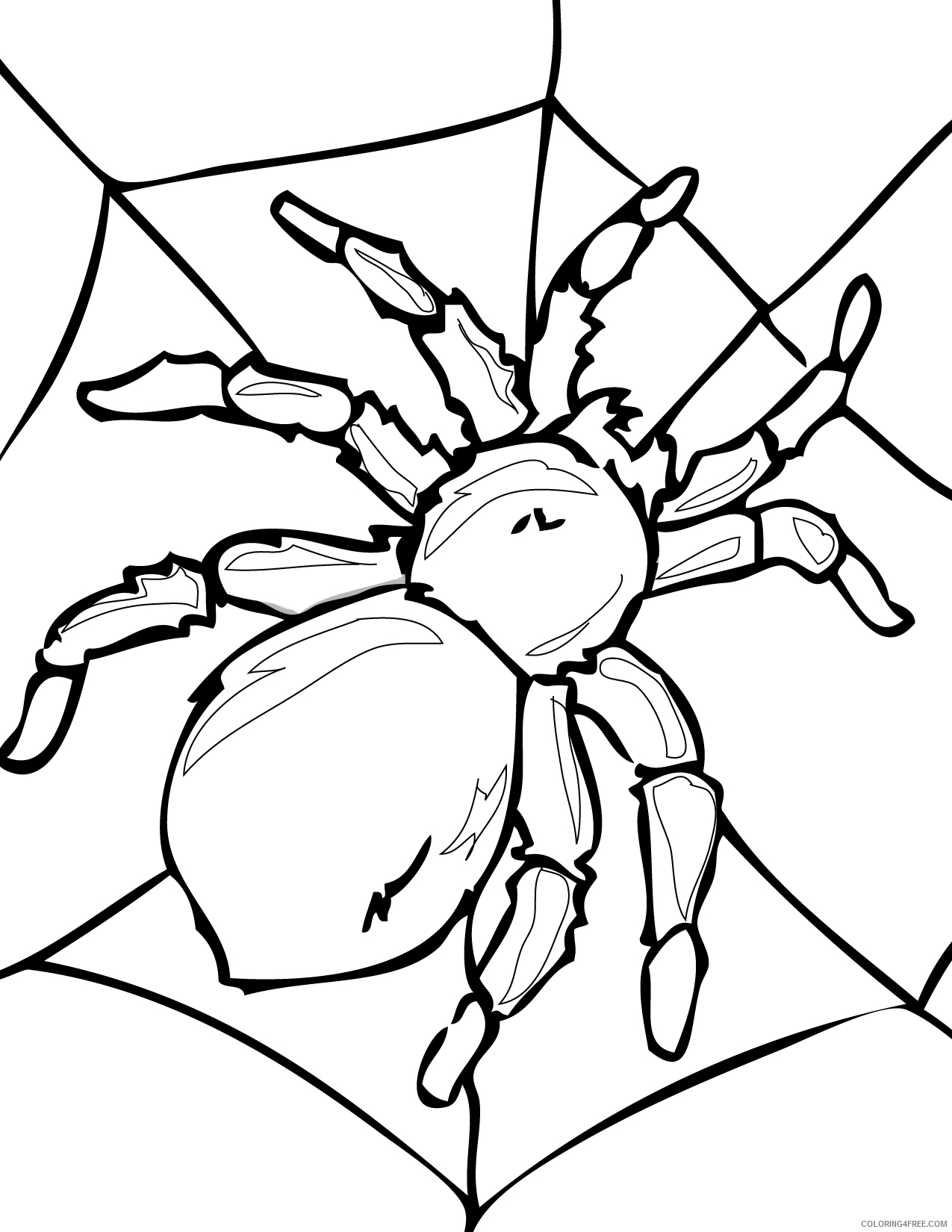 bug coloring pages spider on web Coloring4free