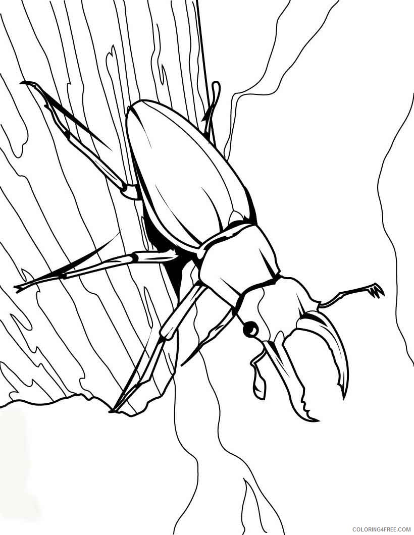 bug coloring pages stag beetle on a tree Coloring4free