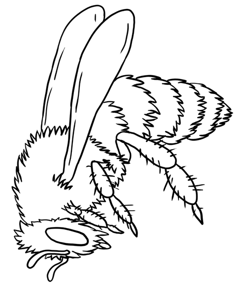 bumble bee coloring pages Coloring4free