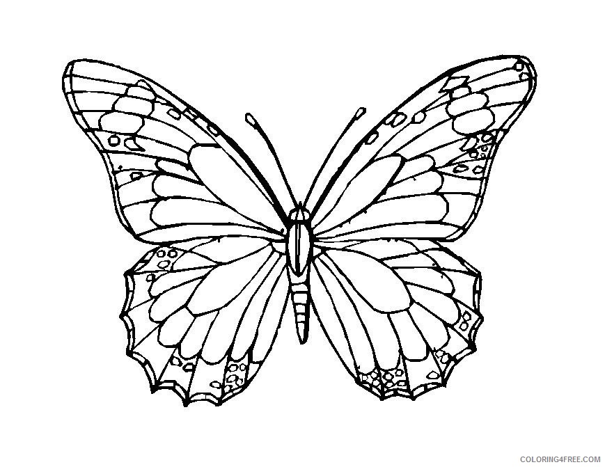 butterfly mosaic coloring pages Coloring4free
