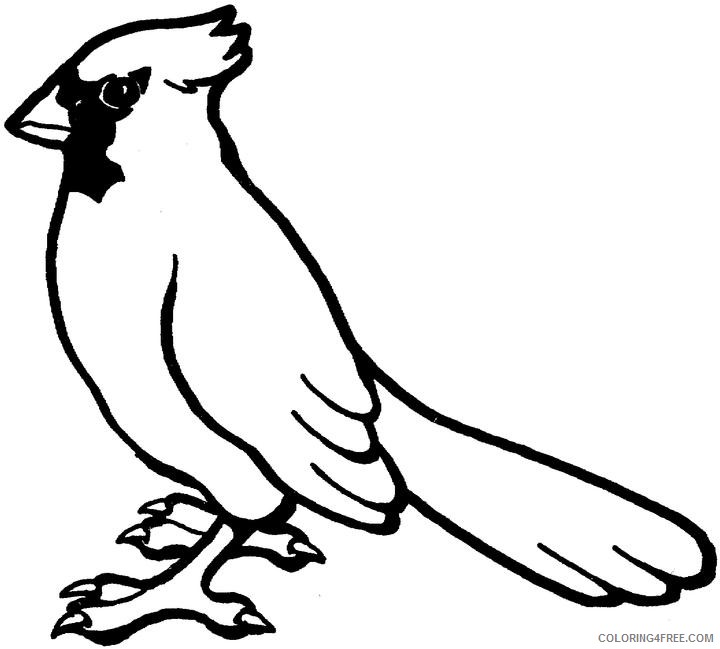 cardinal bird coloring pages Coloring4free
