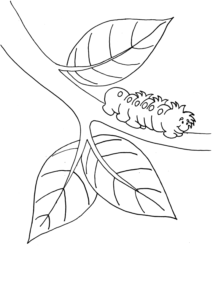 caterpillar coloring pages on a branch Coloring4free