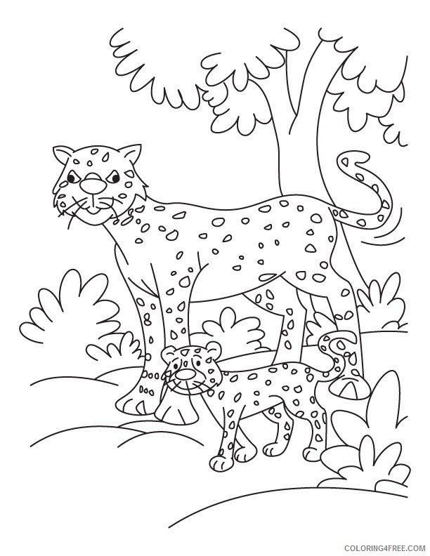cheetah coloring pages for kindergarten Coloring4free