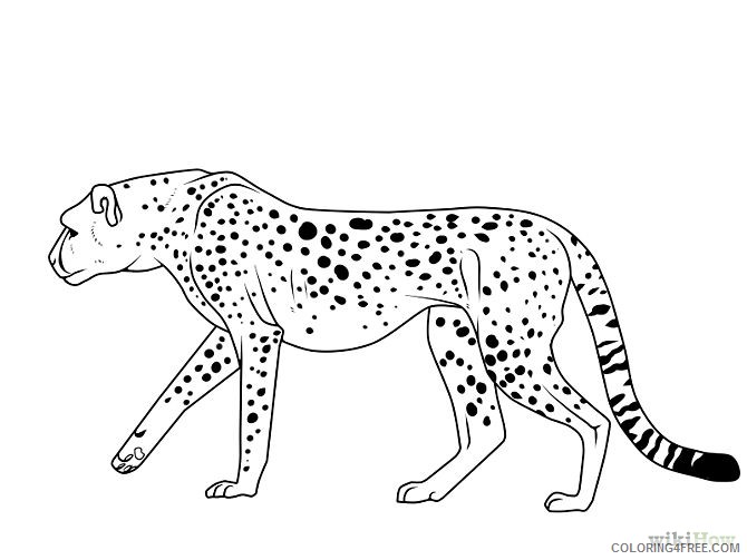 cheetah coloring pages free to print Coloring4free