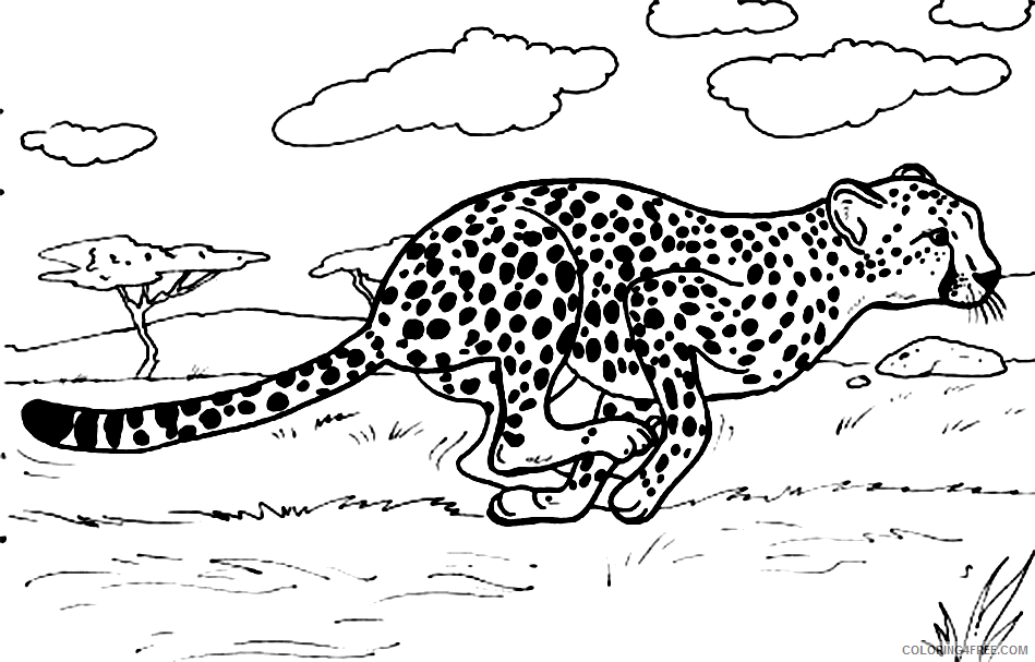 cheetah coloring pages running in savanna Coloring4free