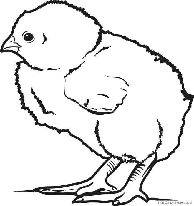 chicken coloring pages chick Coloring4free