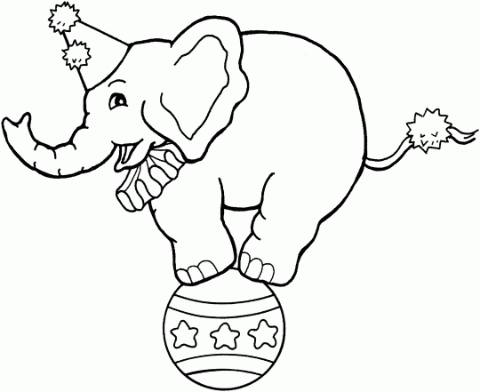 circus coloring pages elephant on ball Coloring4free