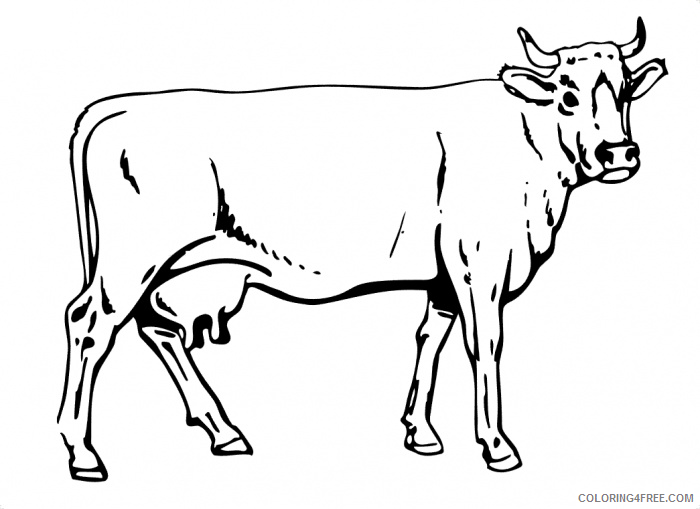 cow coloring pages free printable Coloring4free