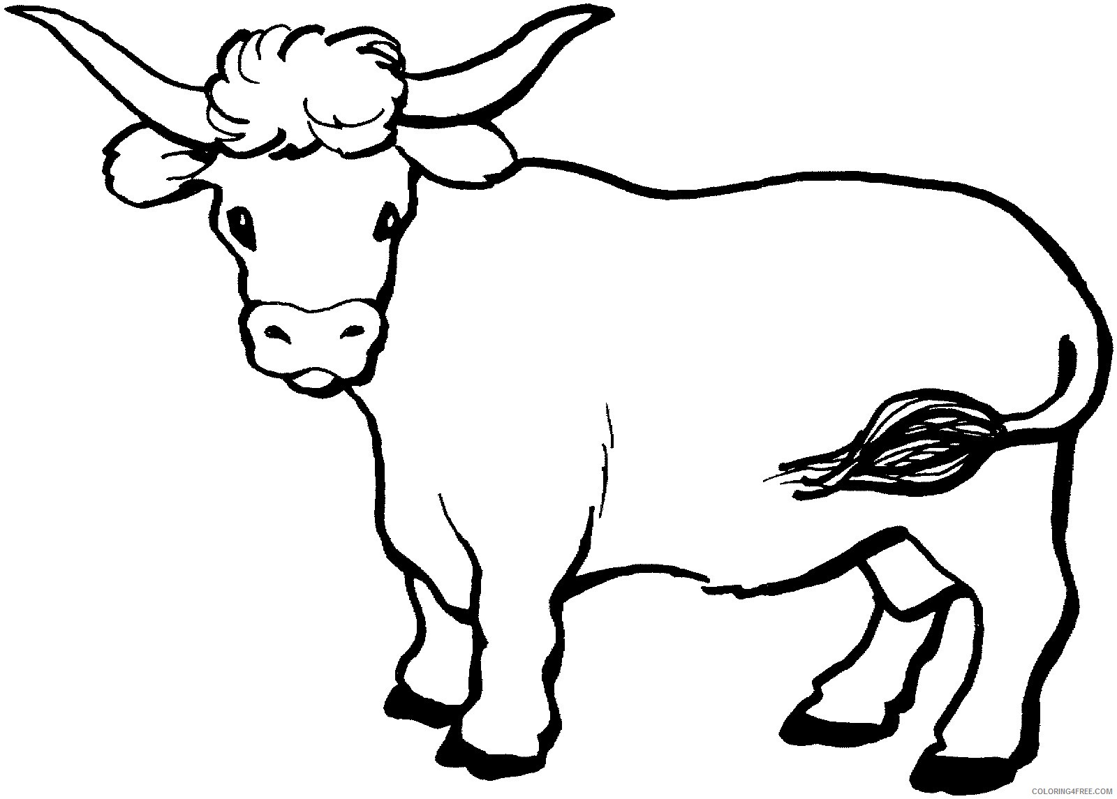 cow coloring pages with long horns Coloring4free