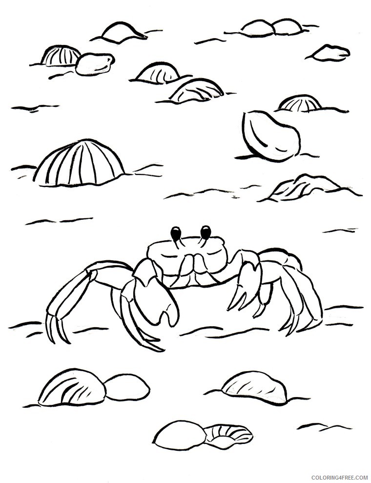 crab coloring pages at the beach Coloring4free