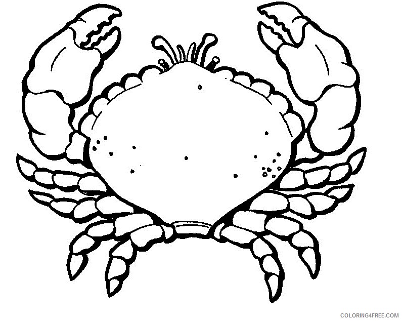 crab coloring pages free to print Coloring4free
