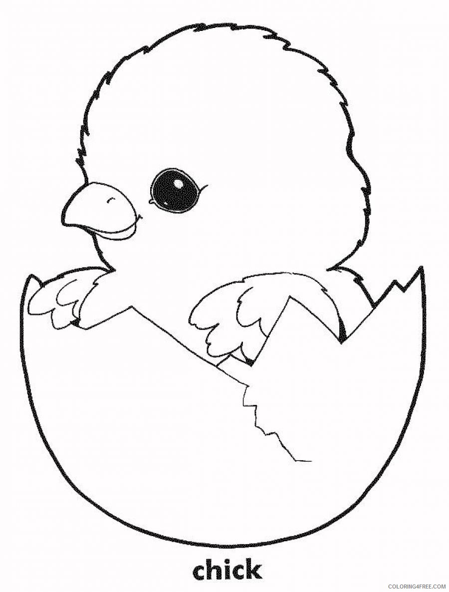 cute chicken coloring pages chick Coloring4free