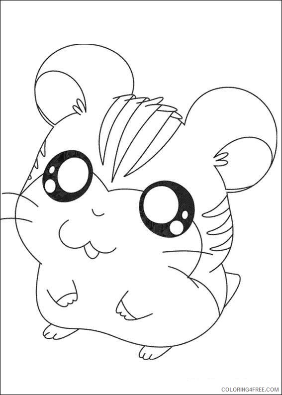 cute hamster coloring pages for kids Coloring4free