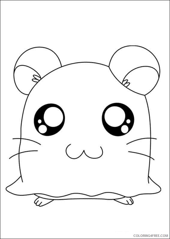 cute hamster coloring pages to print Coloring4free