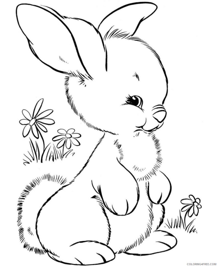 cute rabbit coloring pages Coloring4free