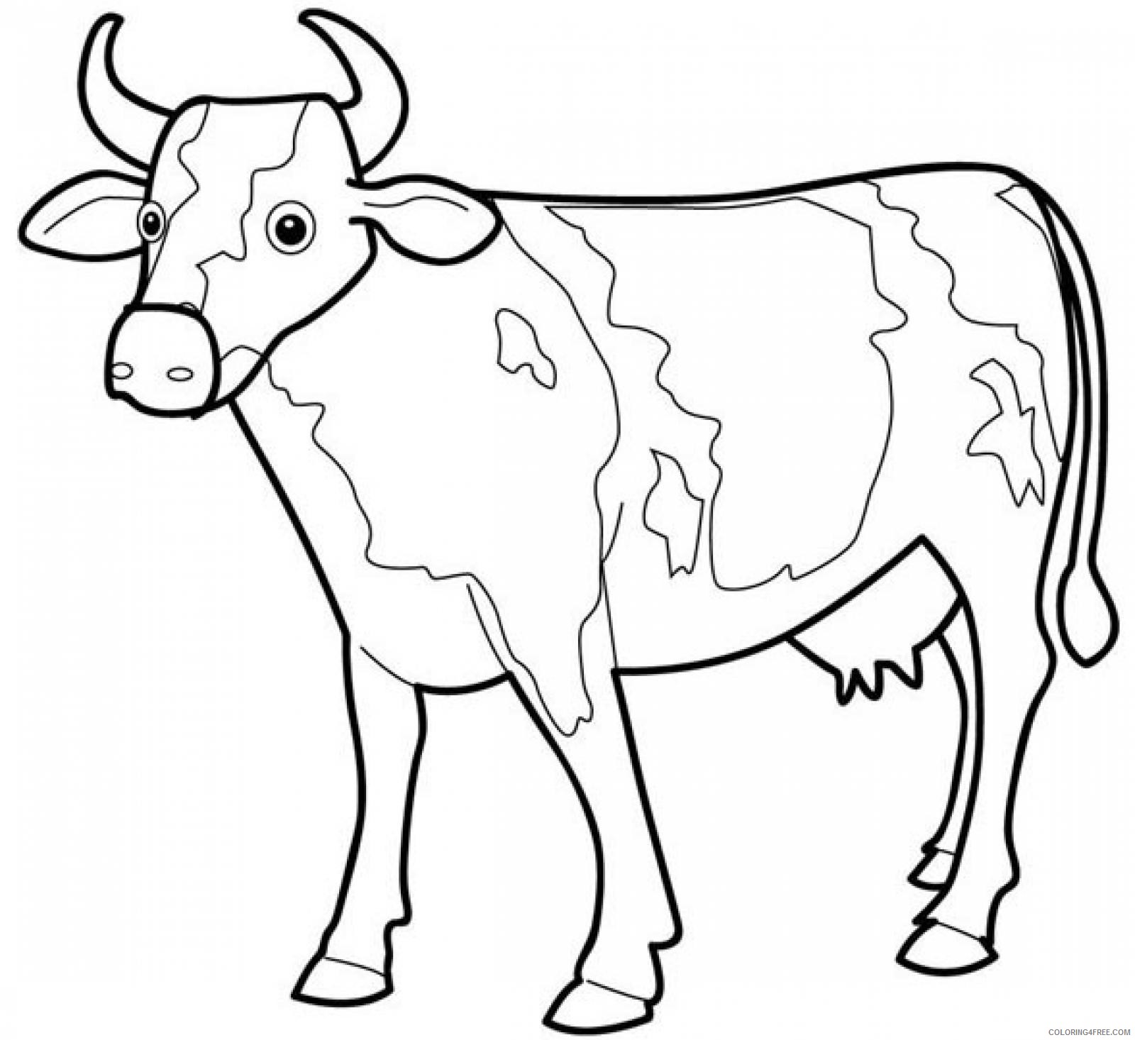 dairy cow coloring pages Coloring4free