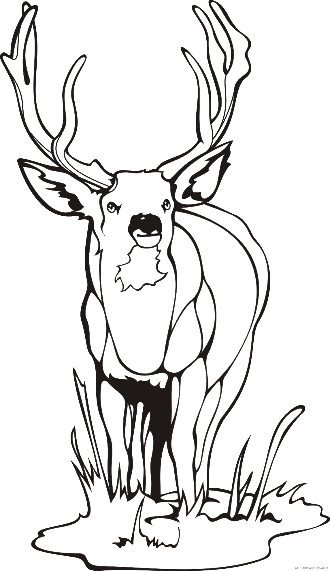 deer coloring pages buck deer Coloring4free