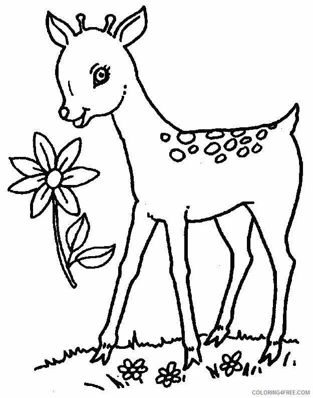 deer coloring pages for girls Coloring4free