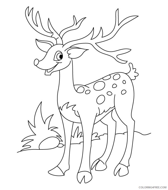 deer coloring pages for kids printable Coloring4free
