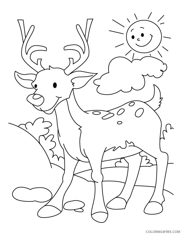 deer coloring pages for kindergarten Coloring4free