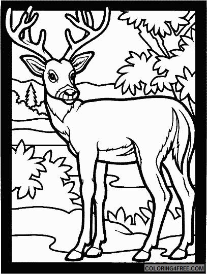 deer coloring pages free for kids Coloring4free