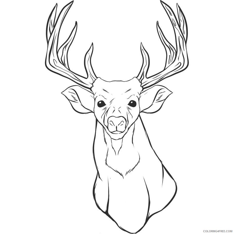 deer head coloring pages Coloring4free