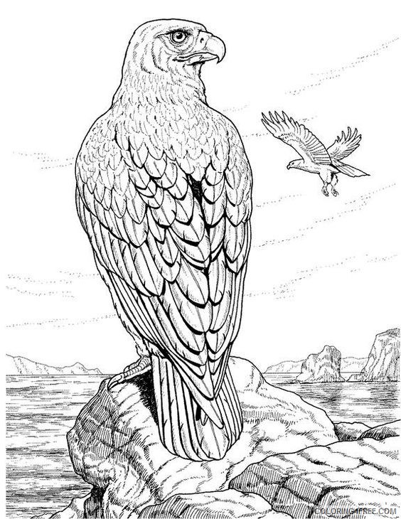 detailed coloring pages of eagle Coloring4free