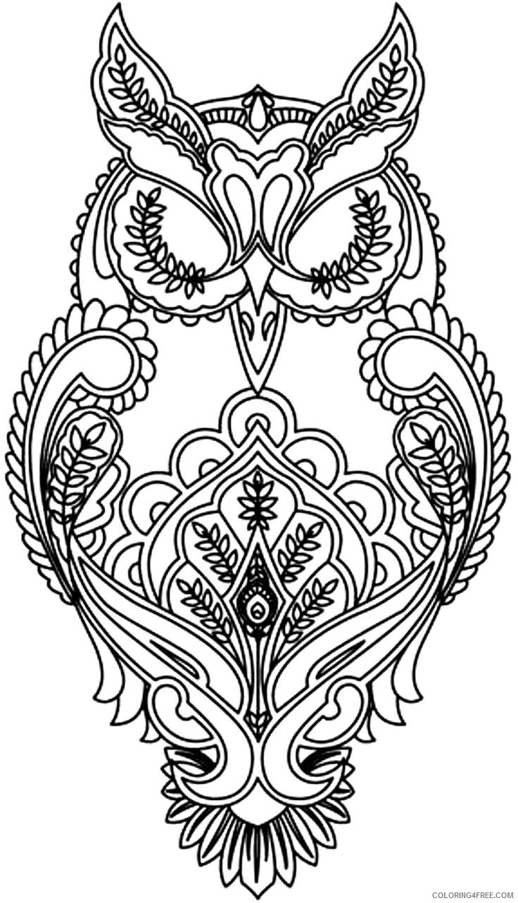 detailed coloring pages of owl Coloring4free