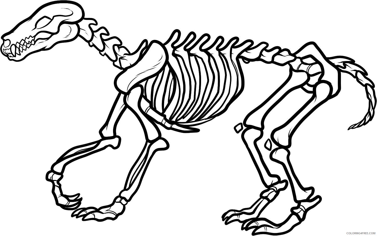 dinosaur skeleton coloring pages Coloring4free